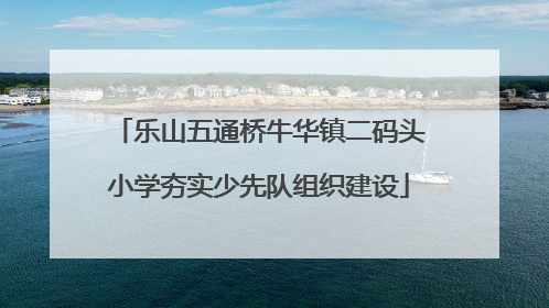 乐山五通桥牛华镇二码头小学夯实少先队组织建设